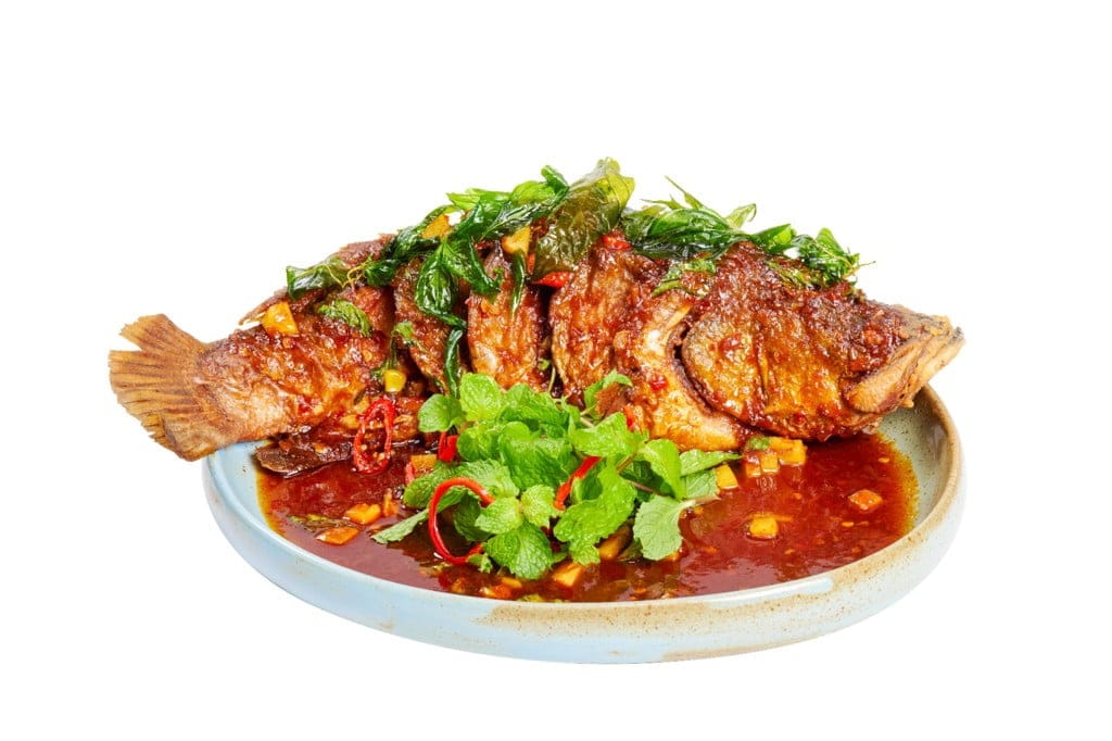 61. PLA THOD SAM ROS